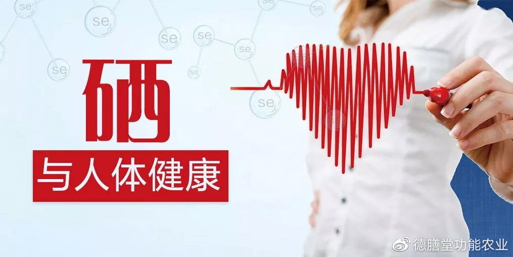 柔性石墨帶 第277頁