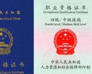 最新保育員證下的溫馨日常故事