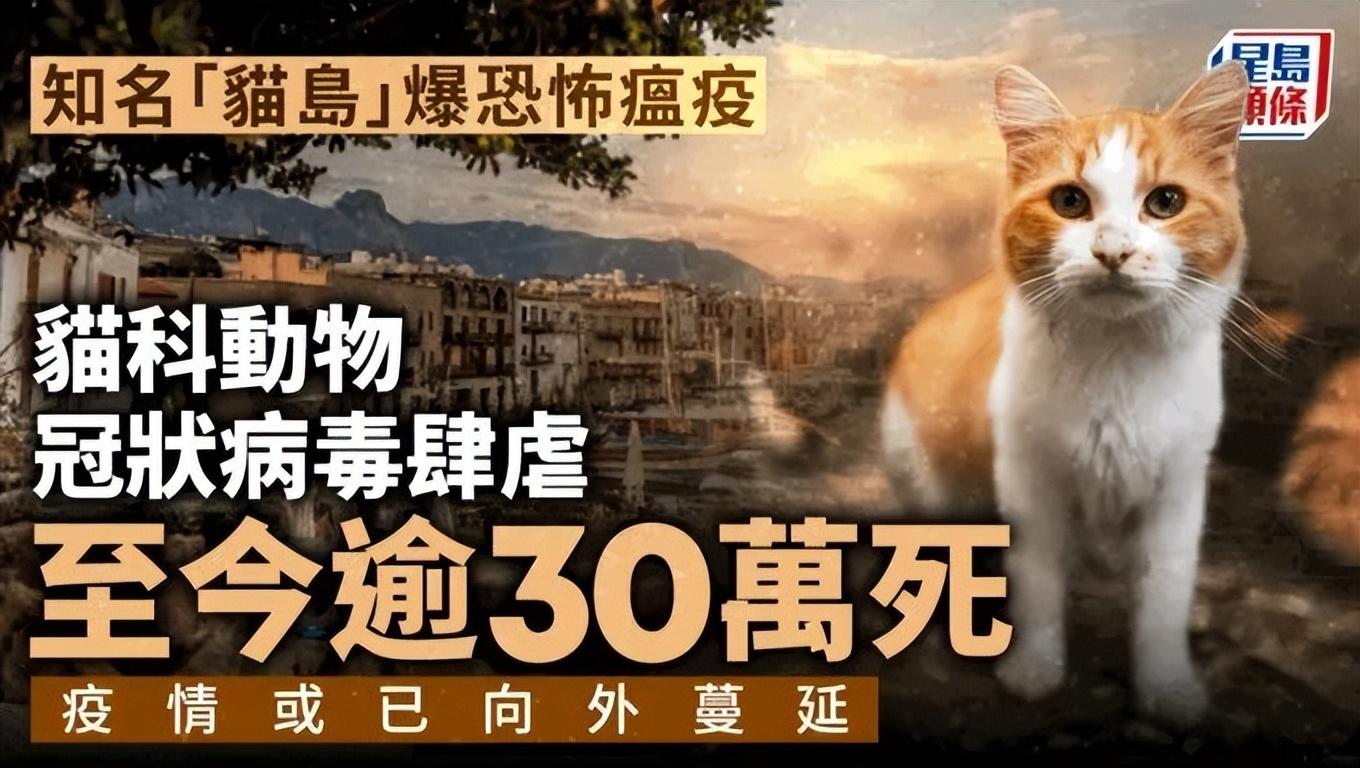 全球視角與多方觀點(diǎn)分析，冠型病毒最新資訊綜述