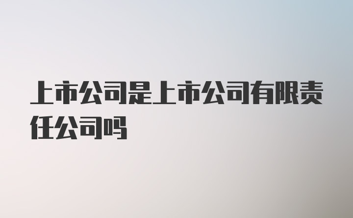 有限責(zé)任公司能否上市，探尋小巷中的獨(dú)特小店的探索之路